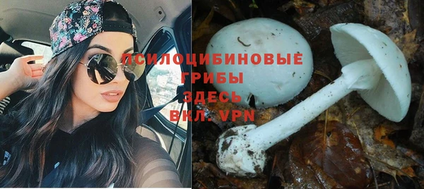 a pvp Мегион