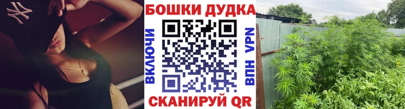 Купить закладки  Калуга  Бошки марихуана LSD WEED